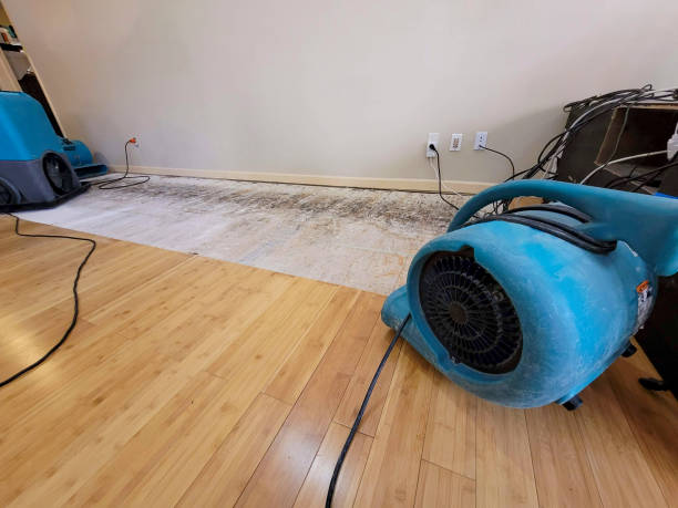 Professional Structural Drying technician working in Monticello, LA